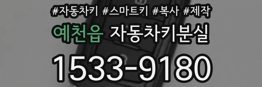 예천읍 자동차키분실