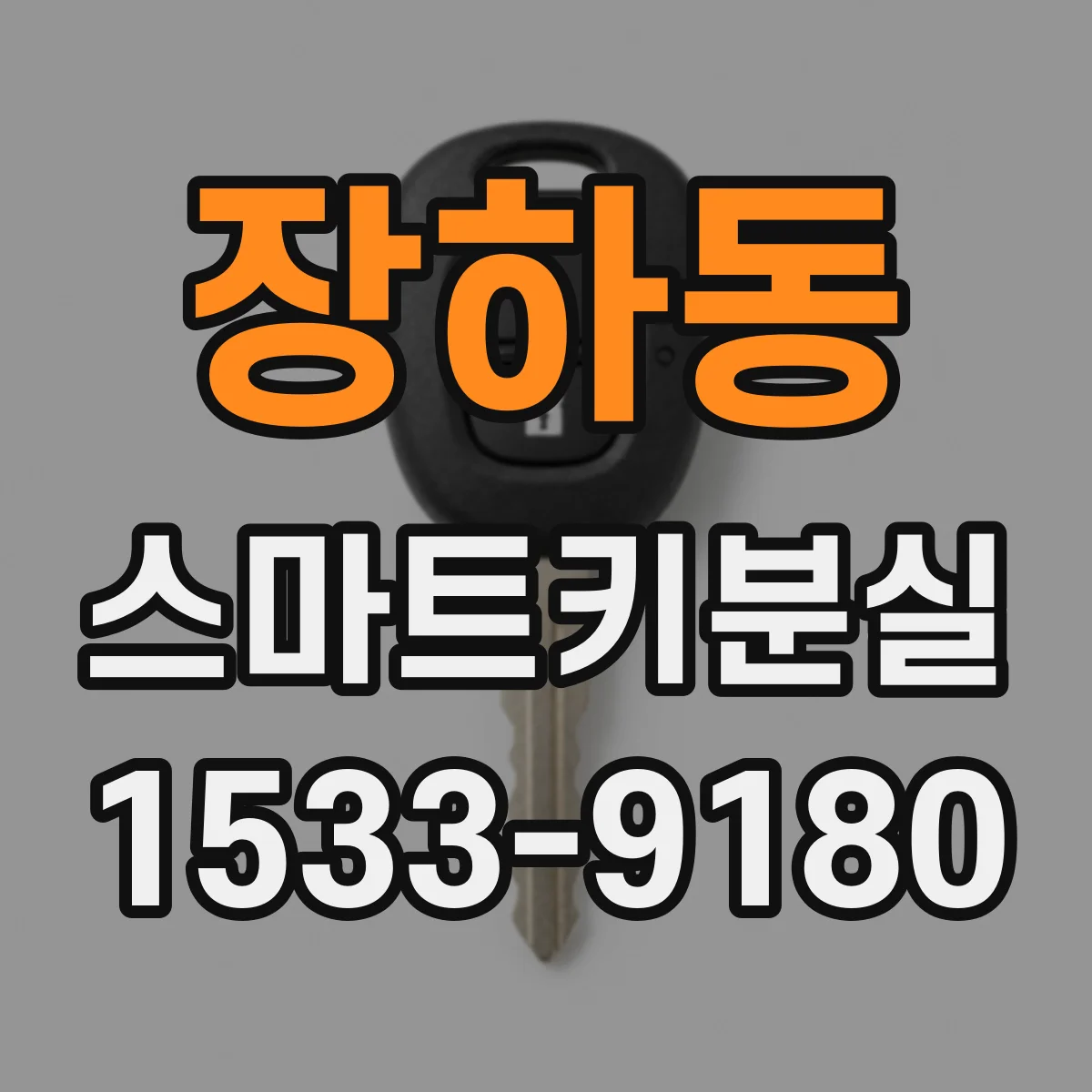 장하동 스마트키분실