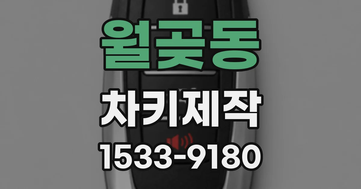 월곶동 차키제작