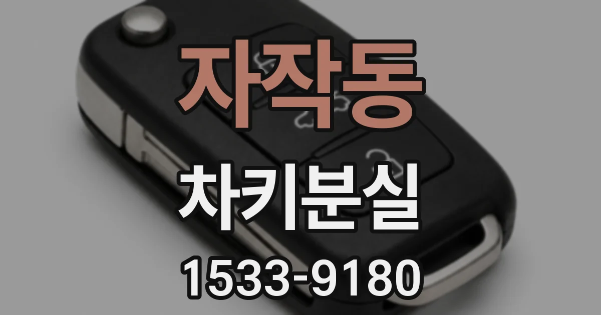 자작동 차키분실