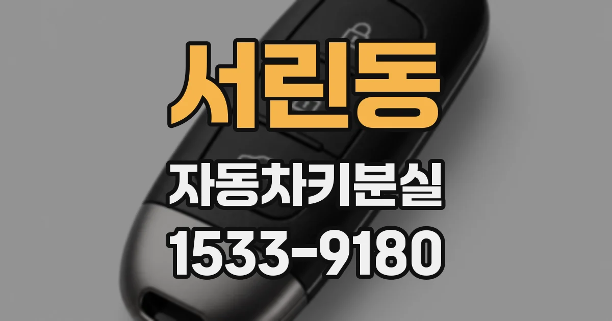 서린동 자동차키분실