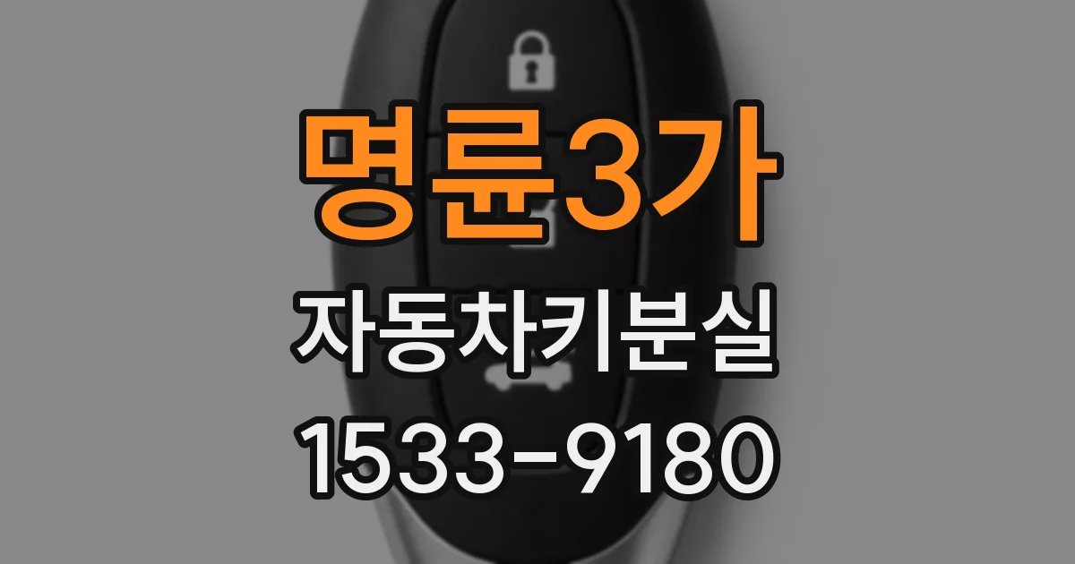 명륜3가 자동차키분실