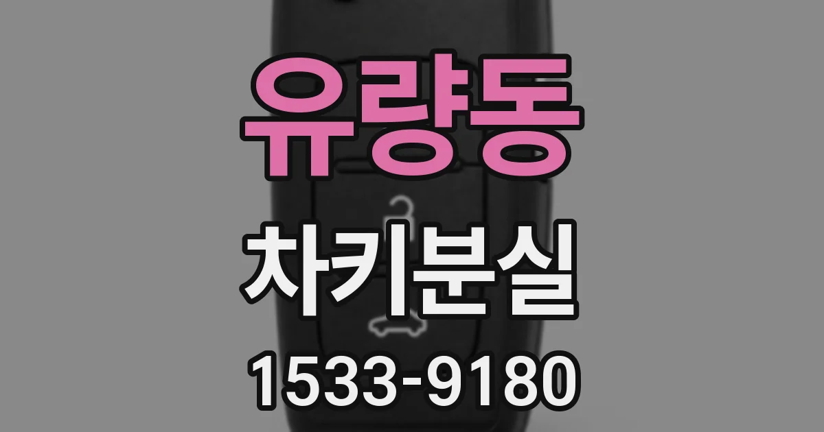 유량동 차키분실