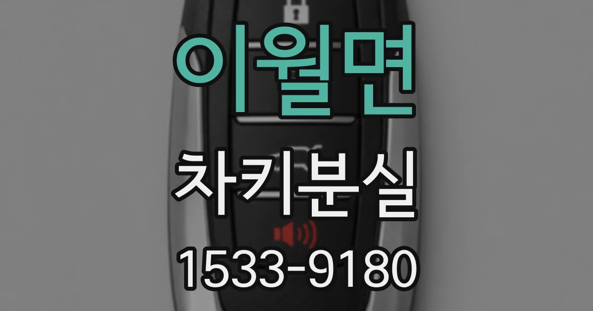 이월면 차키분실