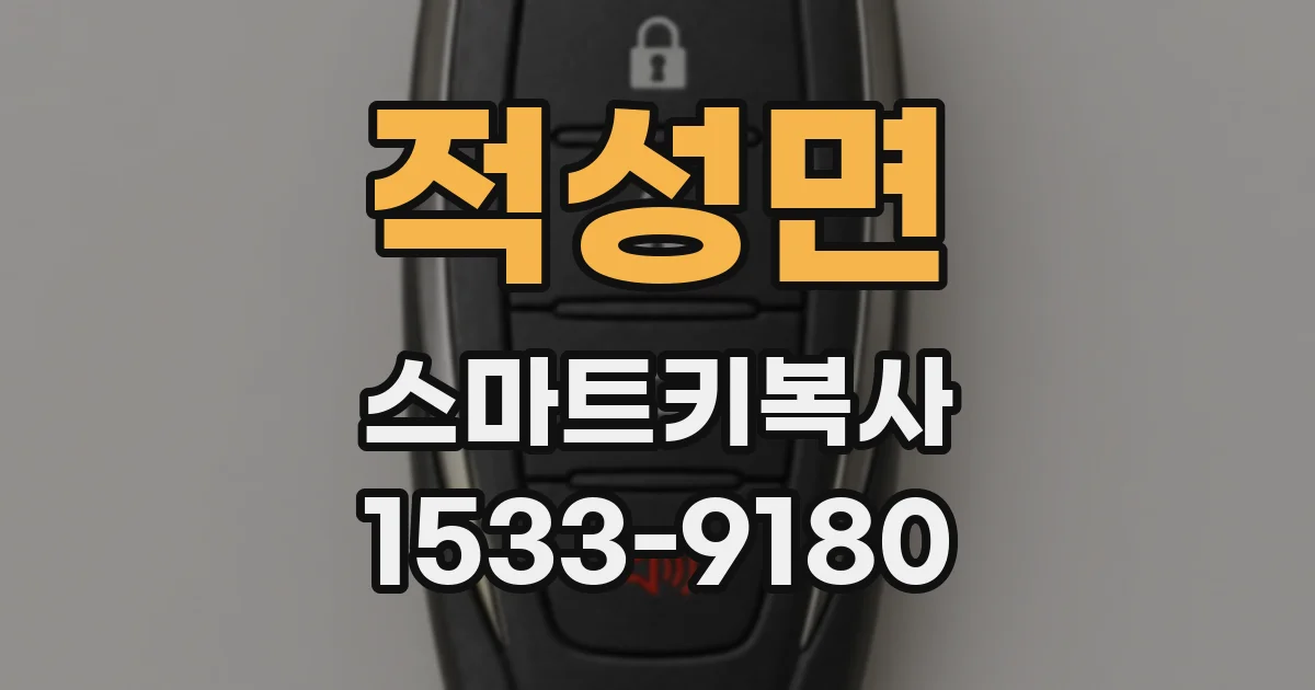 적성면 스마트키복사