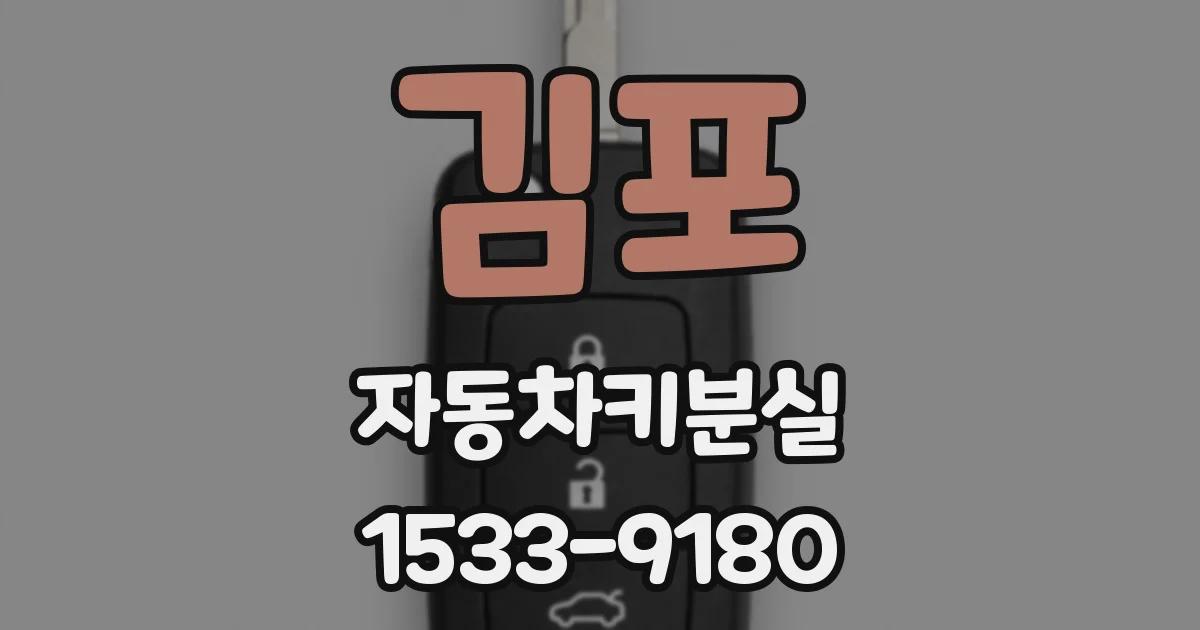 김포 자동차키분실