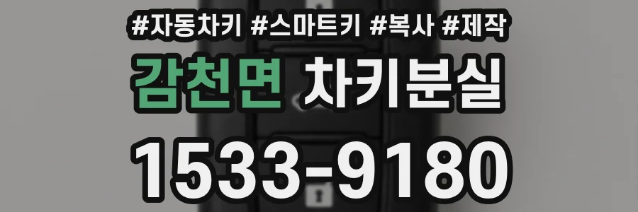 감천면 차키분실