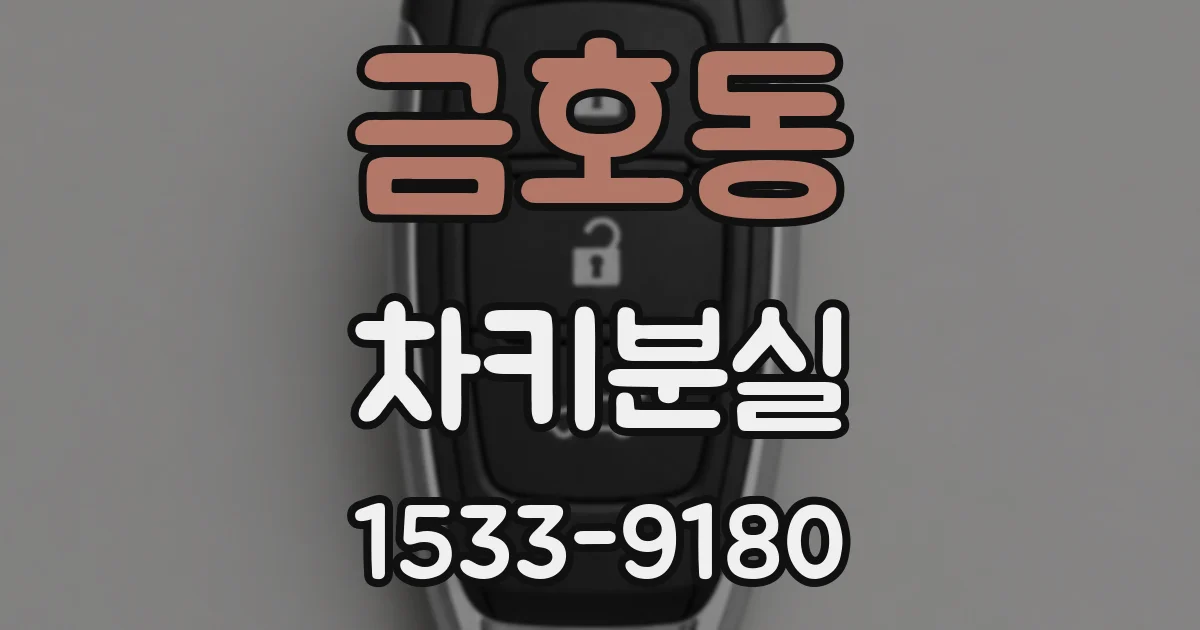 금호동 차키분실