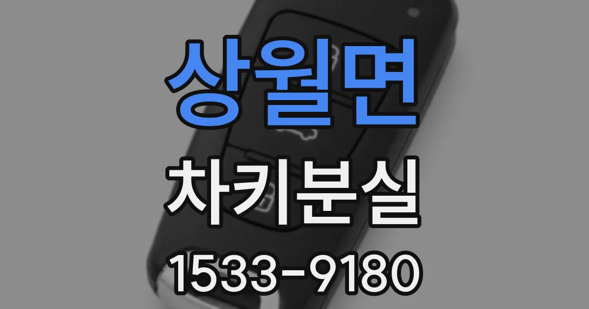 상월면 차키분실