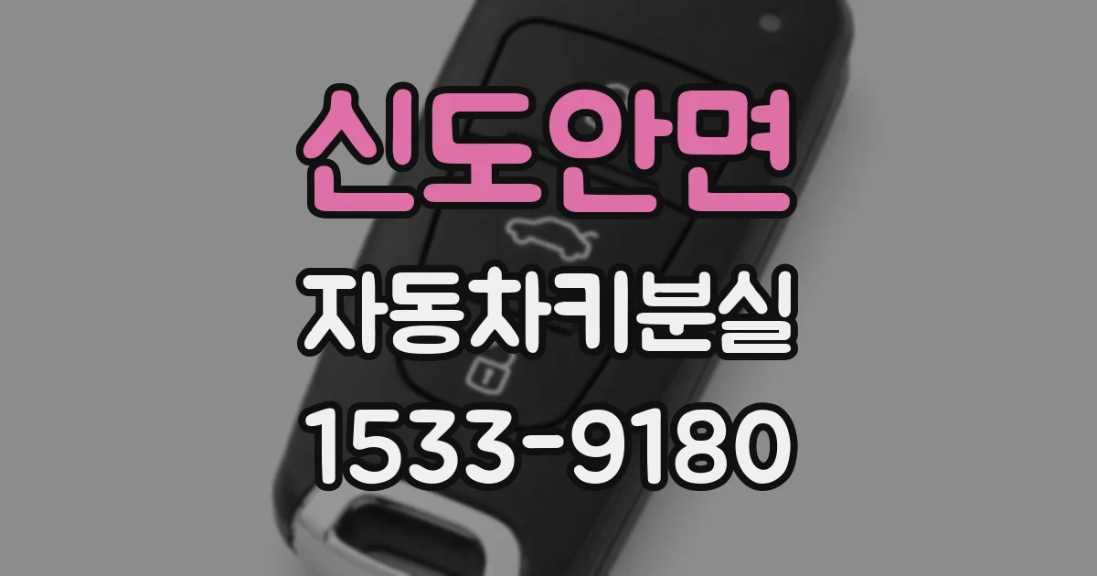 신도안면 자동차키분실