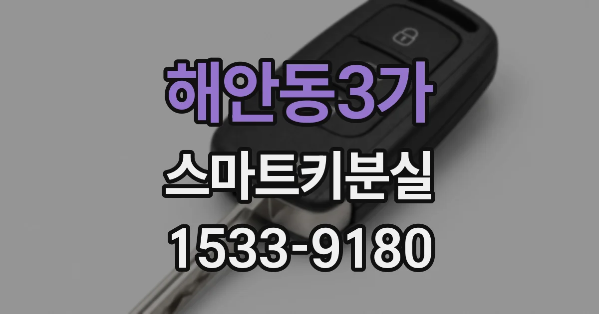 해안동3가 스마트키분실
