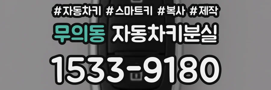무의동 자동차키분실