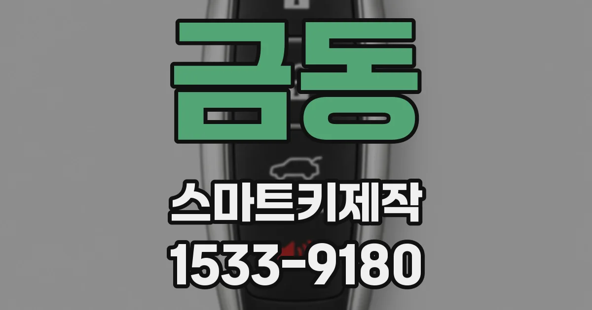금동 스마트키제작