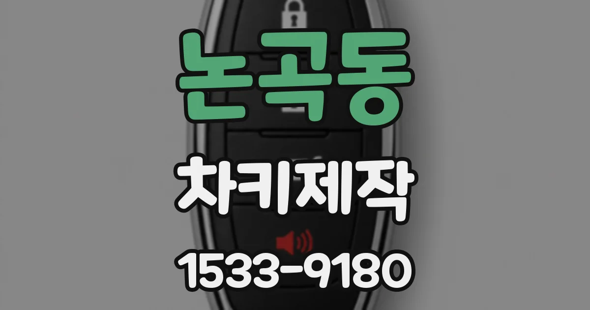 논곡동 차키제작