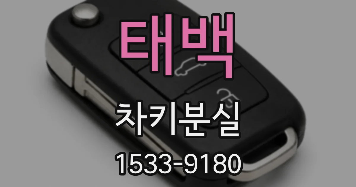 태백 차키분실