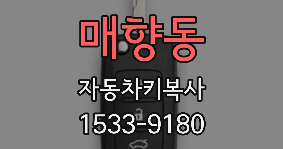매향동 자동차키복사