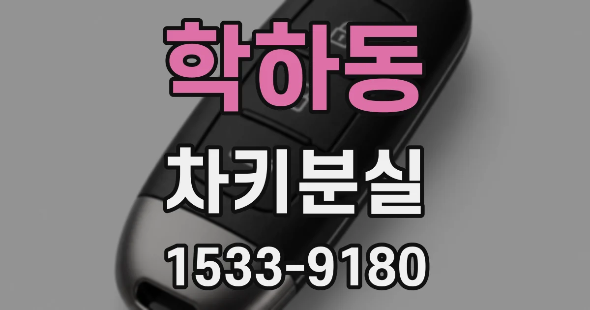 학하동 차키분실