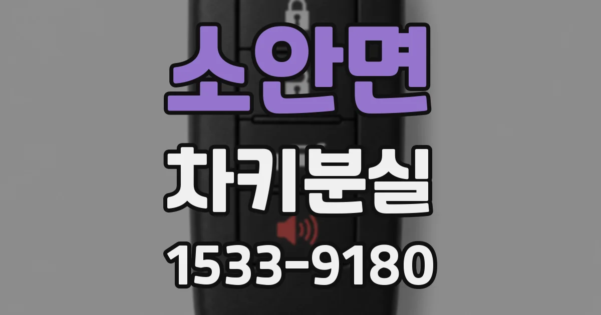 소안면 차키분실