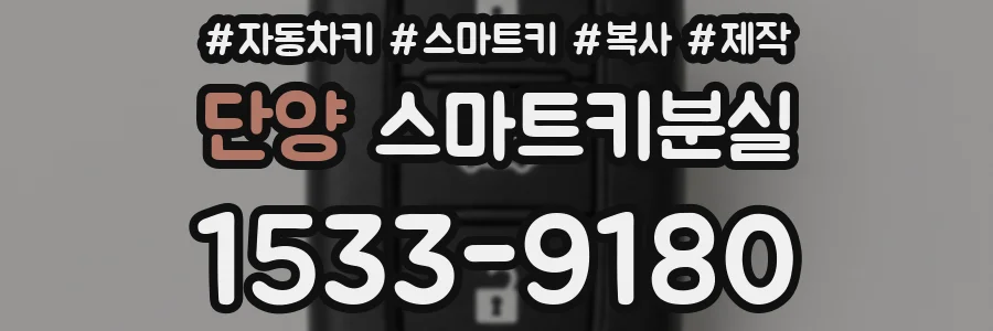 단양 스마트키분실