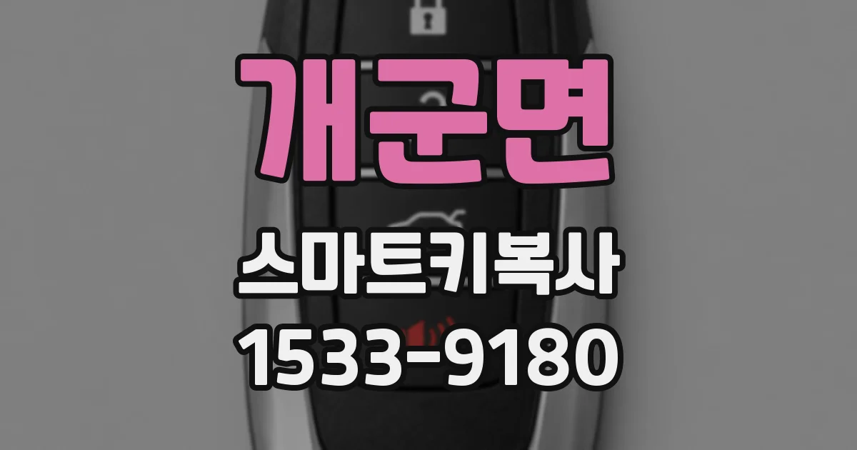 개군면 스마트키복사