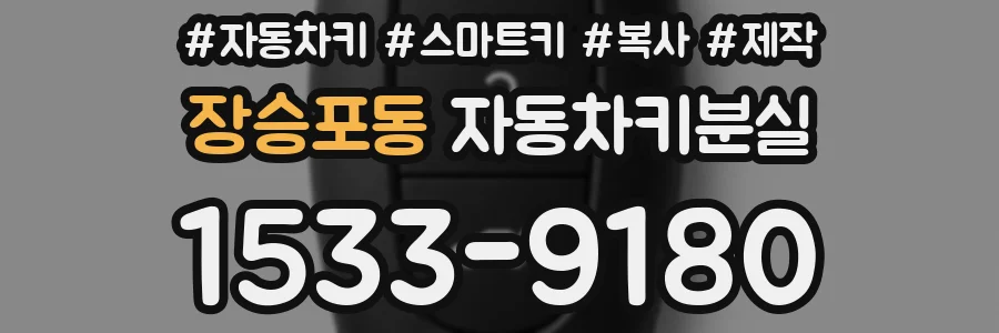 장승포동 자동차키분실