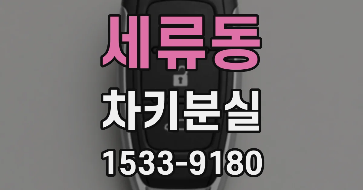 세류동 차키분실