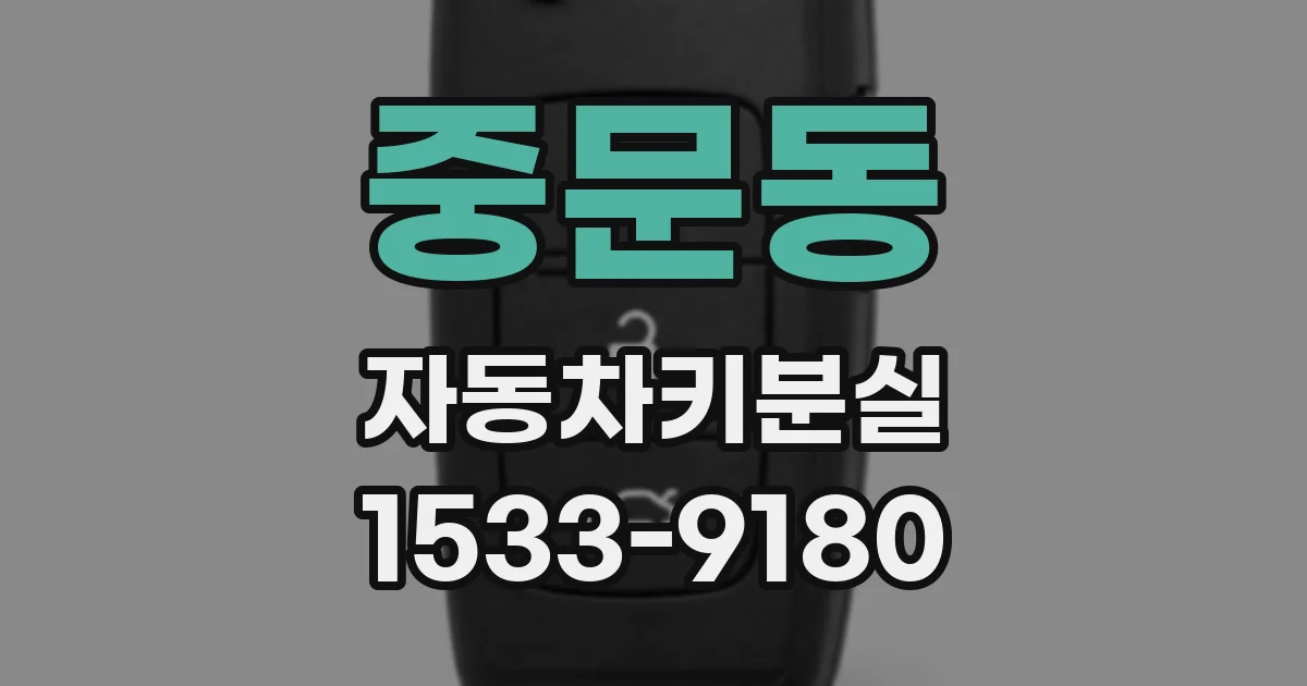 중문동 자동차키분실