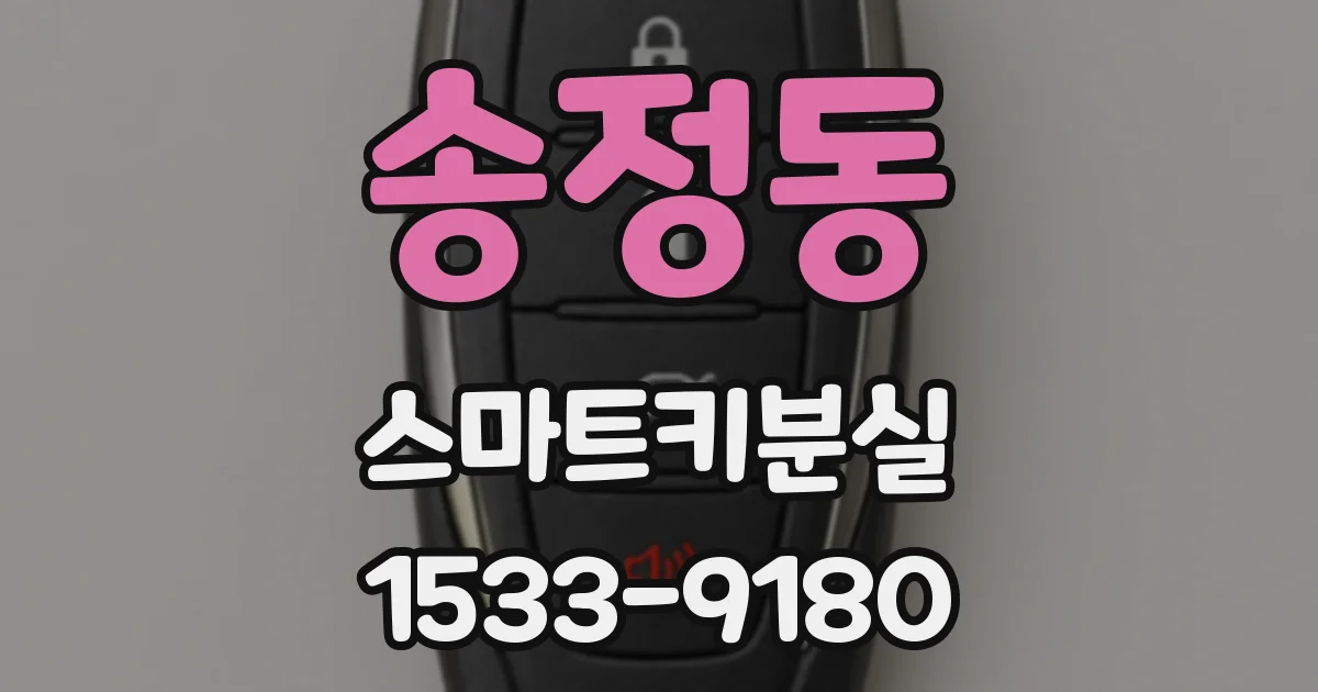 송정동 스마트키분실