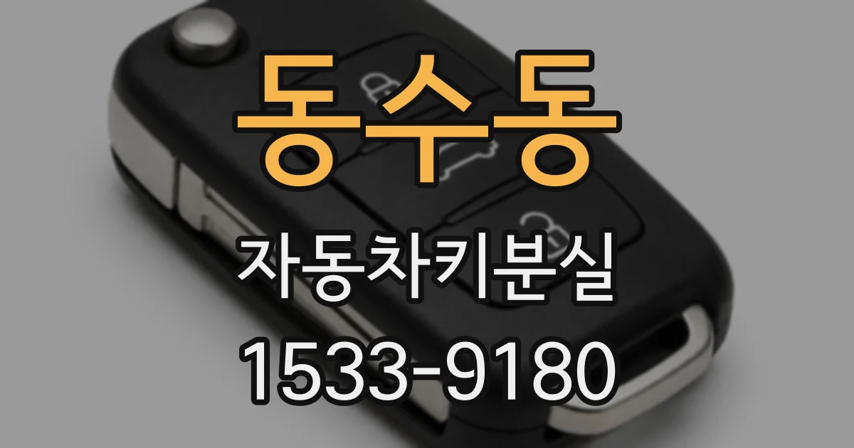 동수동 자동차키분실