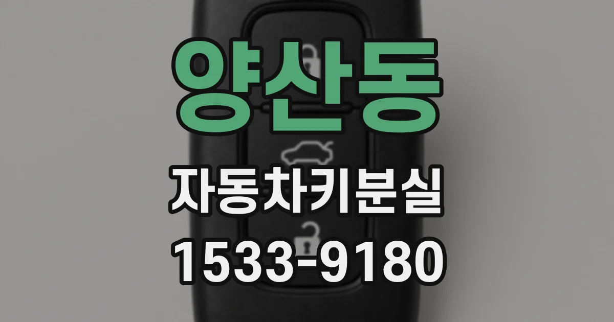 양산동 자동차키분실