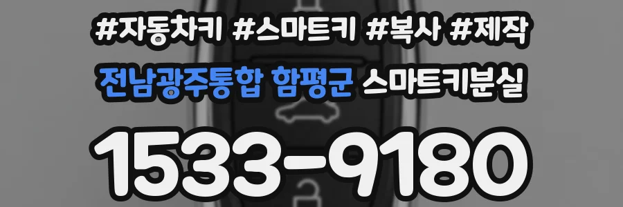 전남광주통합 함평군 스마트키분실