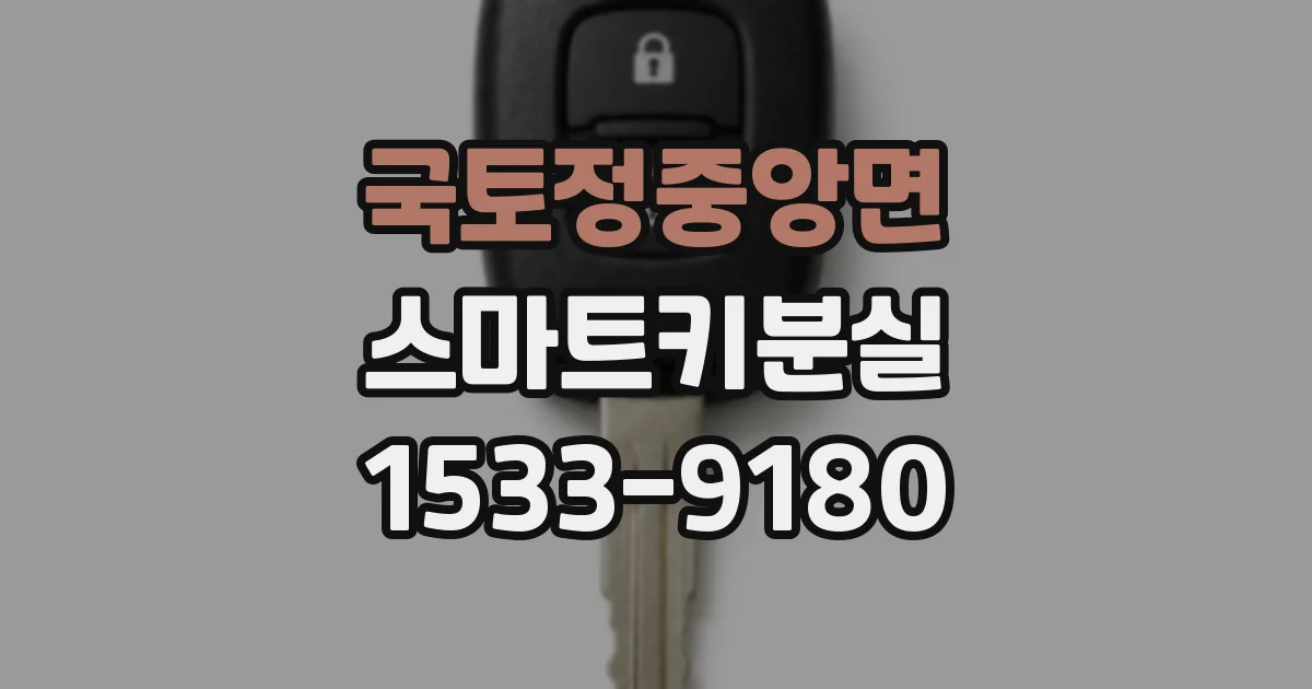 국토정중앙면 스마트키분실
