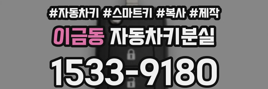 이금동 자동차키분실