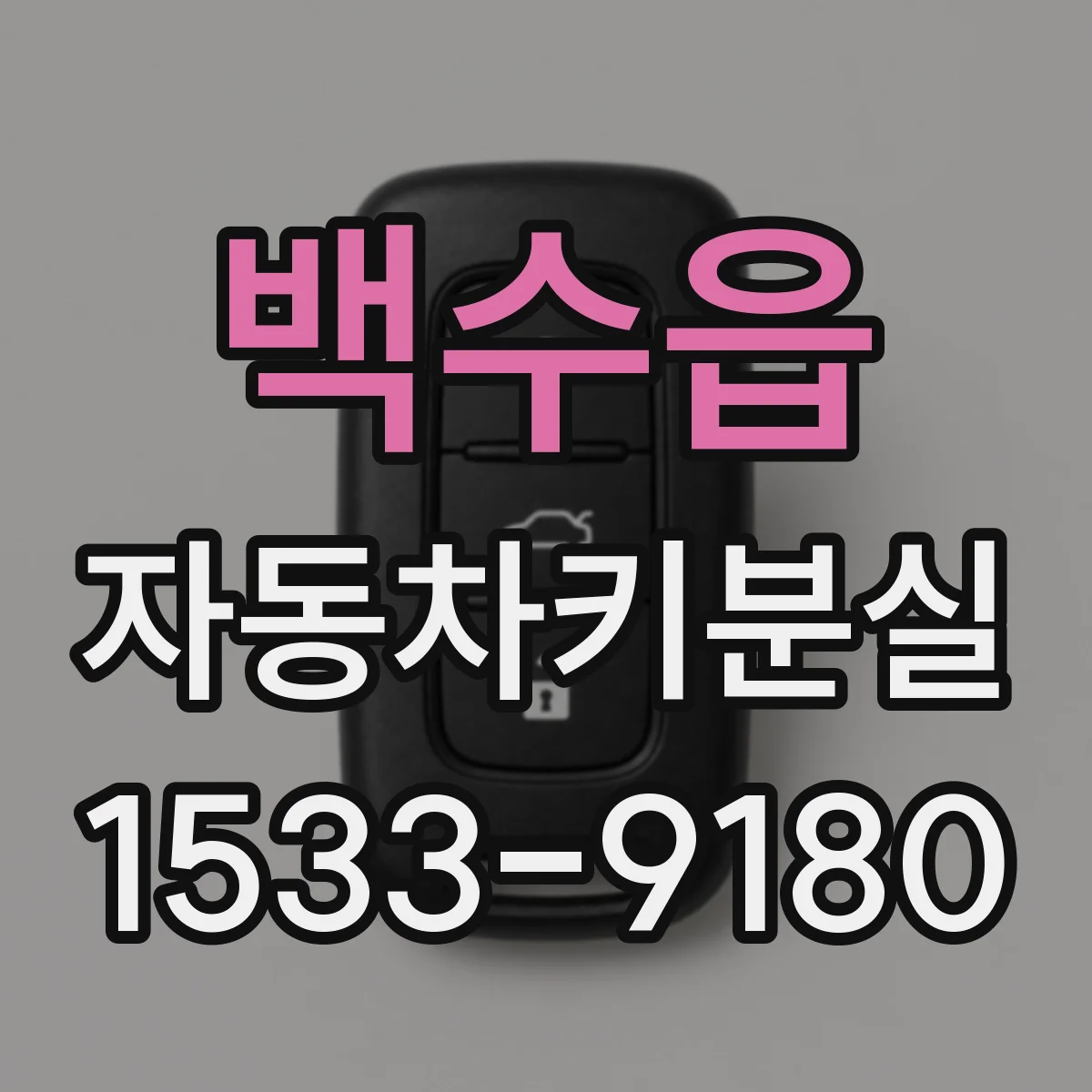 백수읍 자동차키분실
