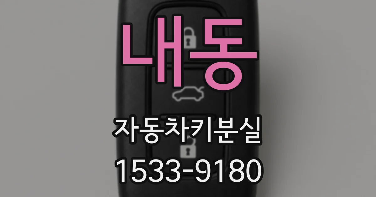 내동 자동차키분실