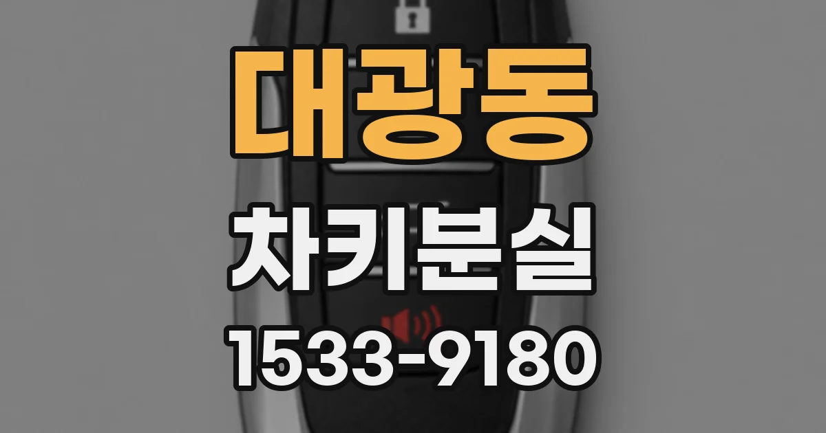 대광동 차키분실