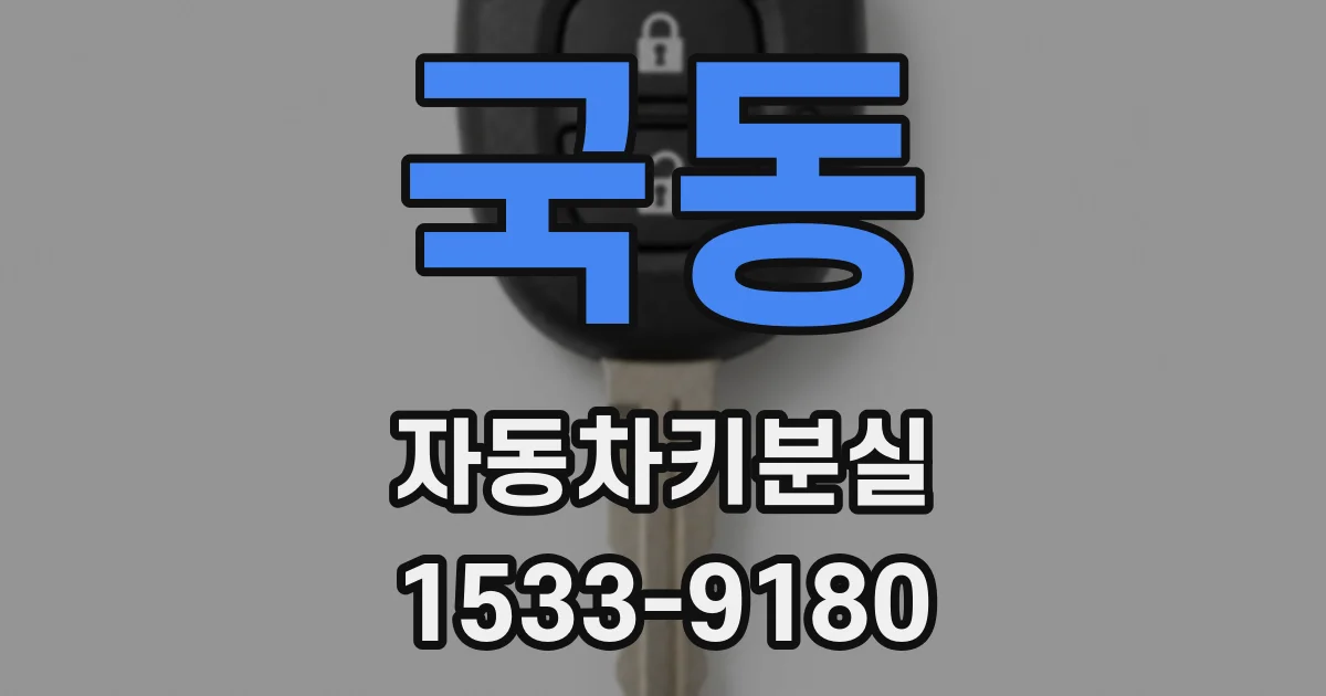국동 자동차키분실