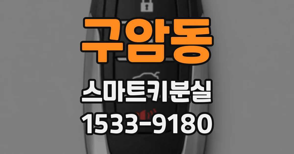 구암동 스마트키분실