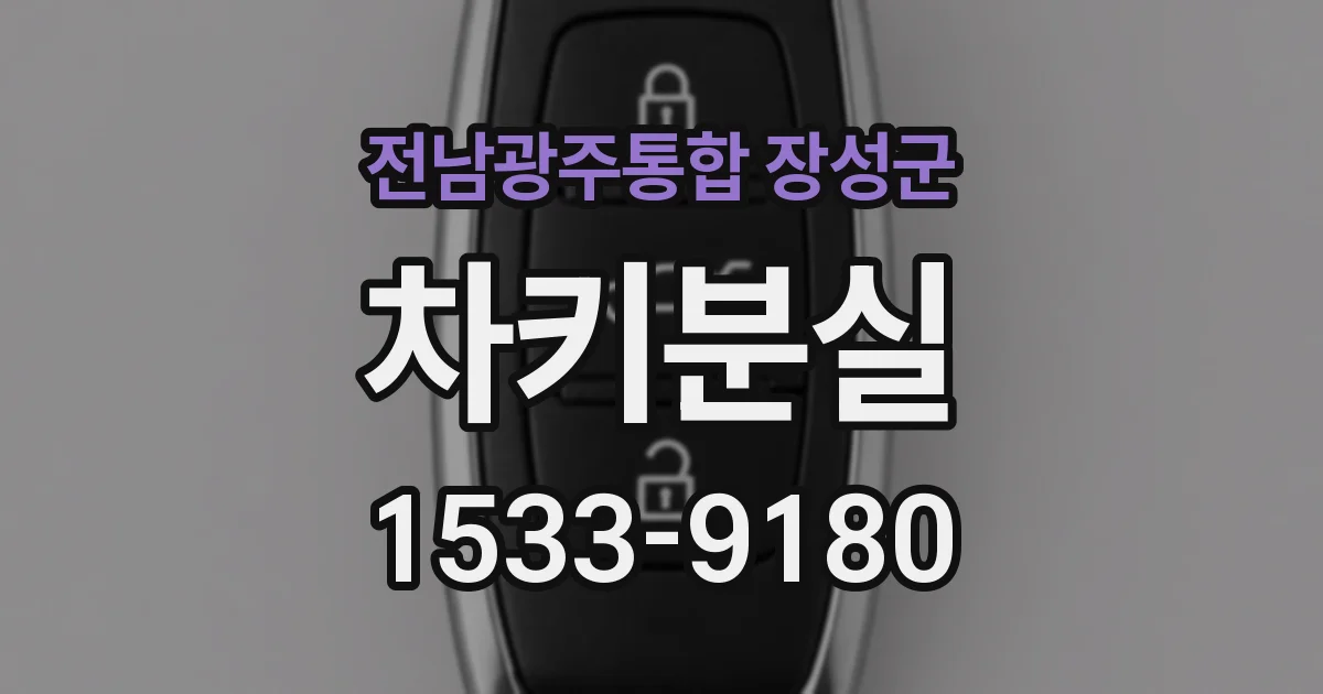전남광주통합 장성군 차키분실