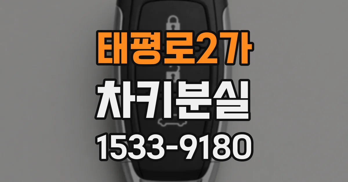 태평로2가 차키분실