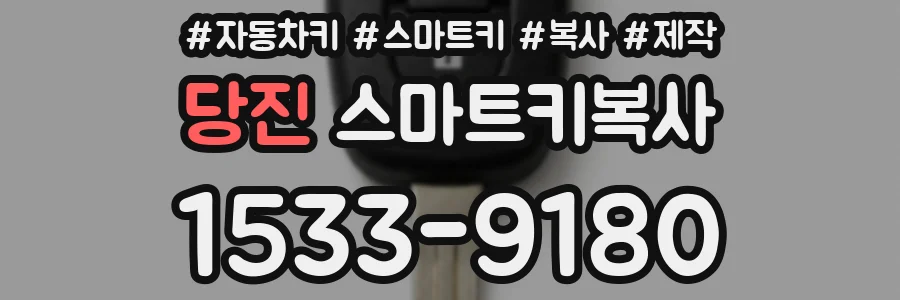 당진 스마트키복사