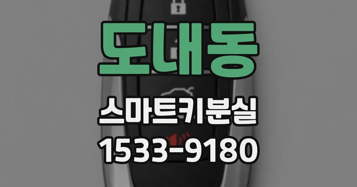 도내동 스마트키분실