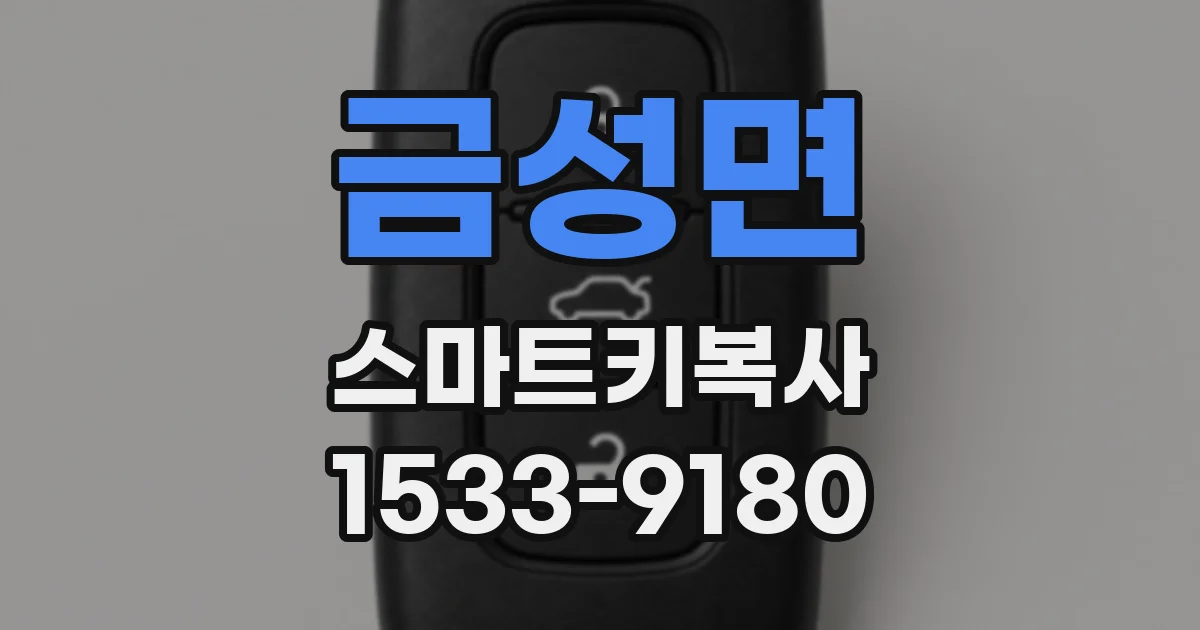 금성면 스마트키복사