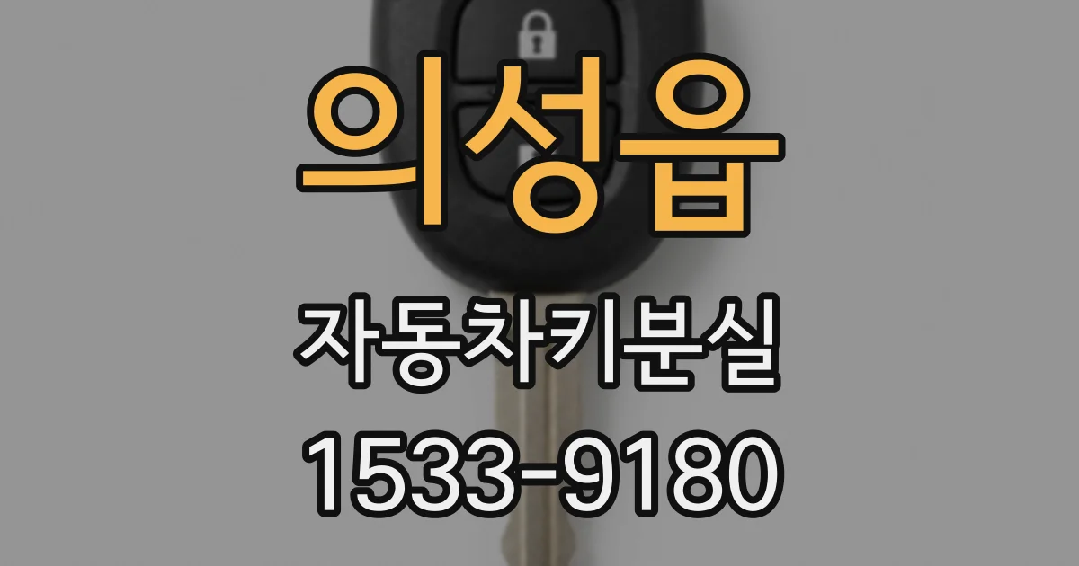 의성읍 자동차키분실