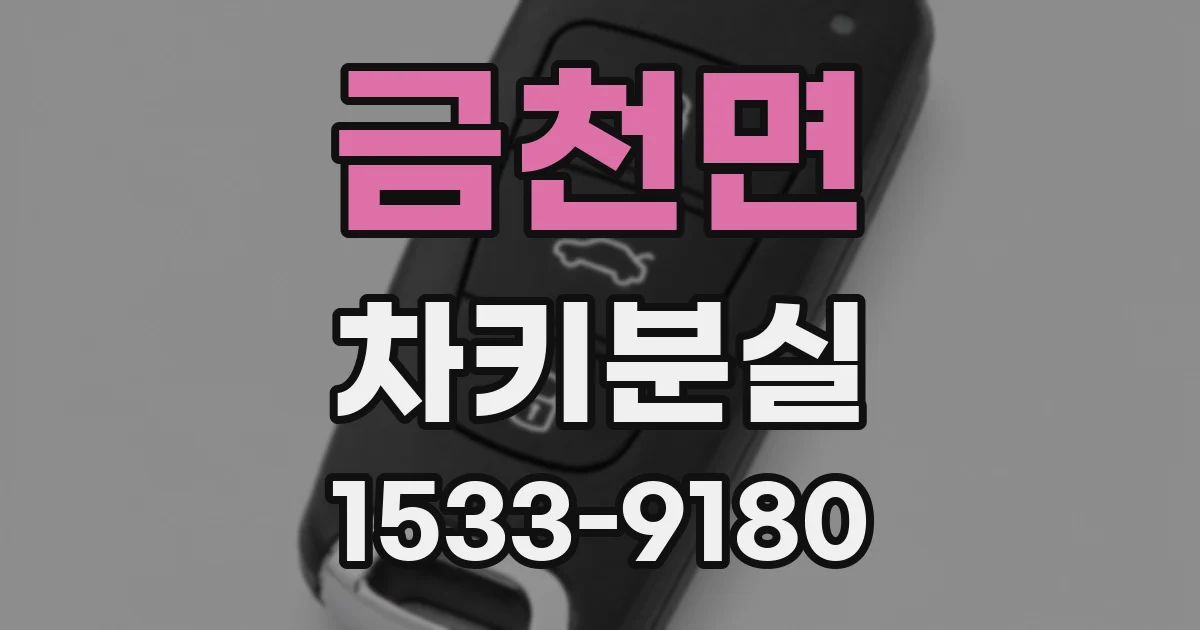금천면 차키분실