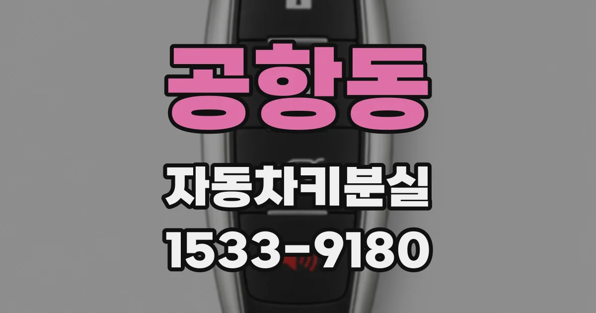 공항동 자동차키분실