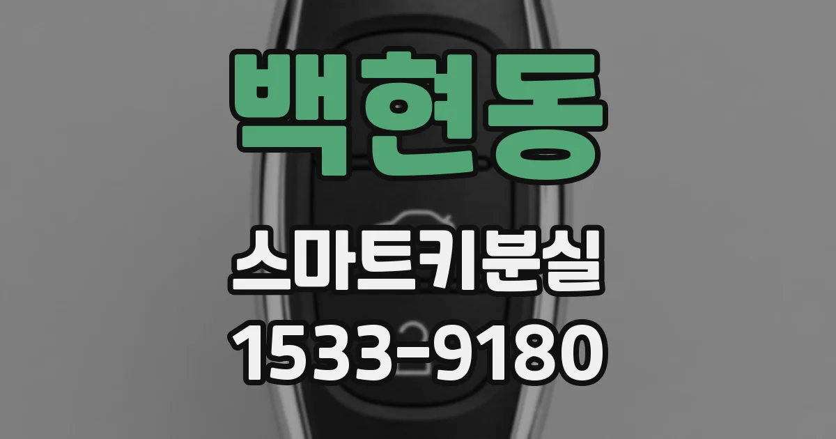 백현동 스마트키분실