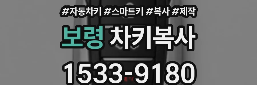 보령 차키복사