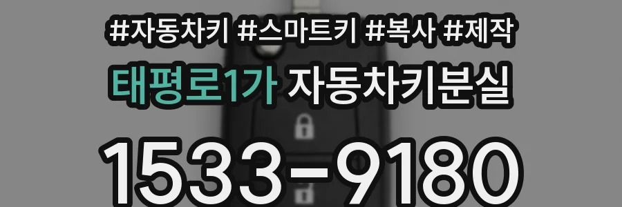 태평로1가 자동차키분실