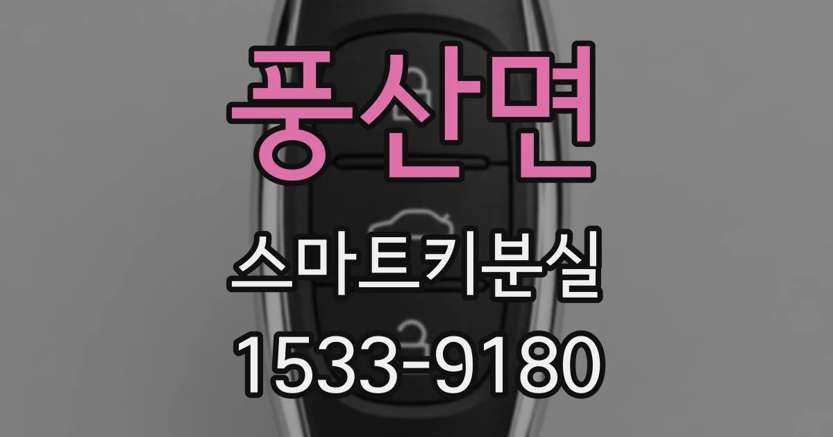 풍산면 스마트키분실